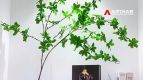 Masteri Thao Dien - 02 bedroom apartment for rent - An Khanh Ward - Ho Chi Minh City