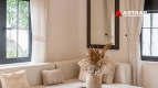05 Bedrooms house villa in compound with garden & pool for rent-An Khanh-Ho Chi Minh